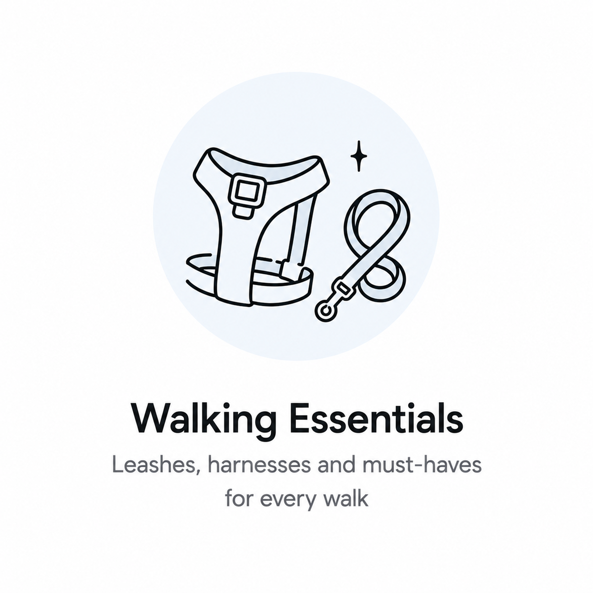 Walking Essentials
