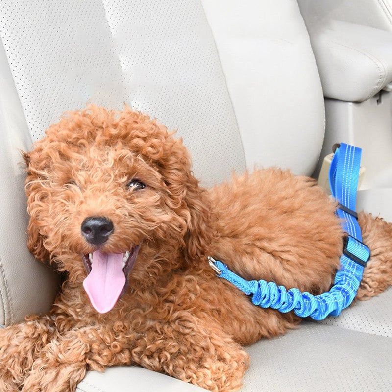 Dog Car Seat Belt