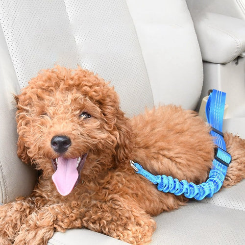 Dog Car Seat Belt