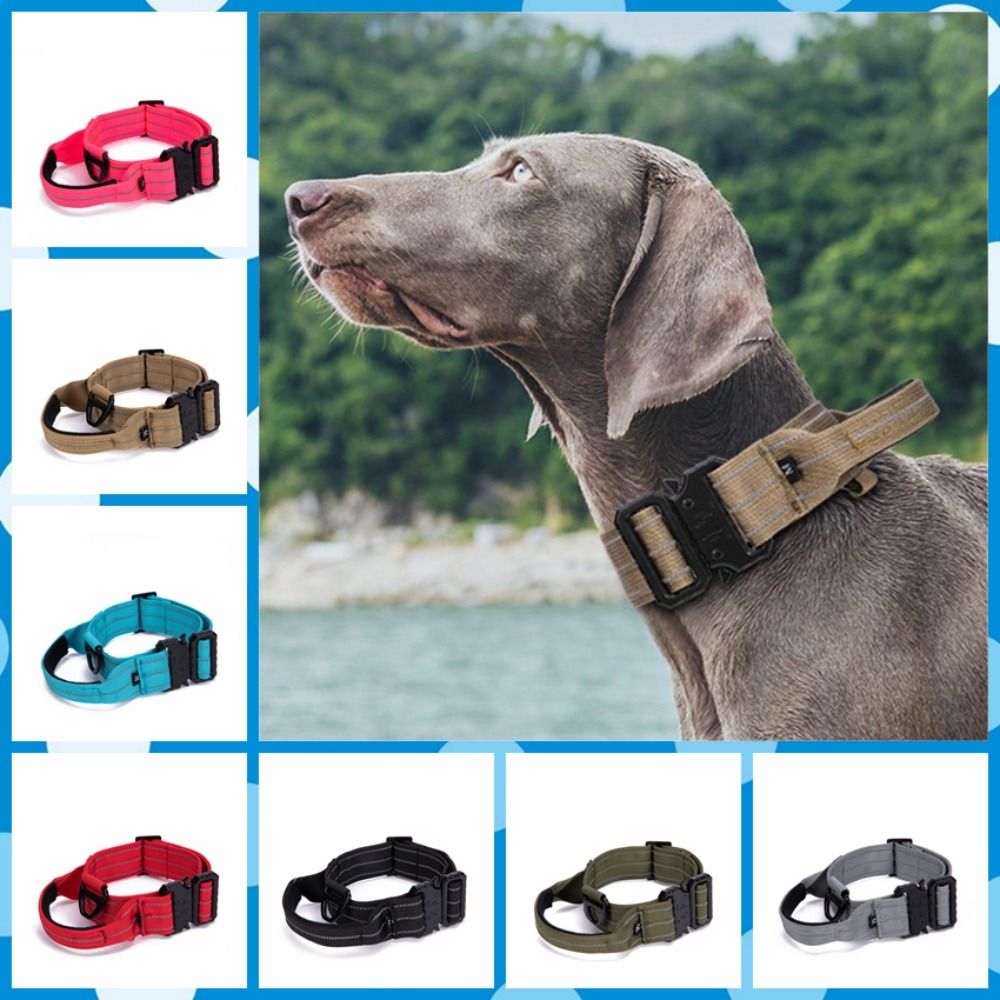 Tactical Harness & Collar Set
