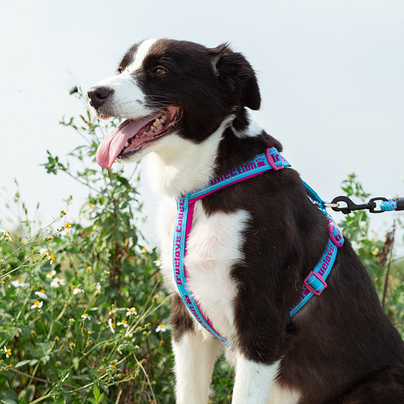 Reflective Dog Harness