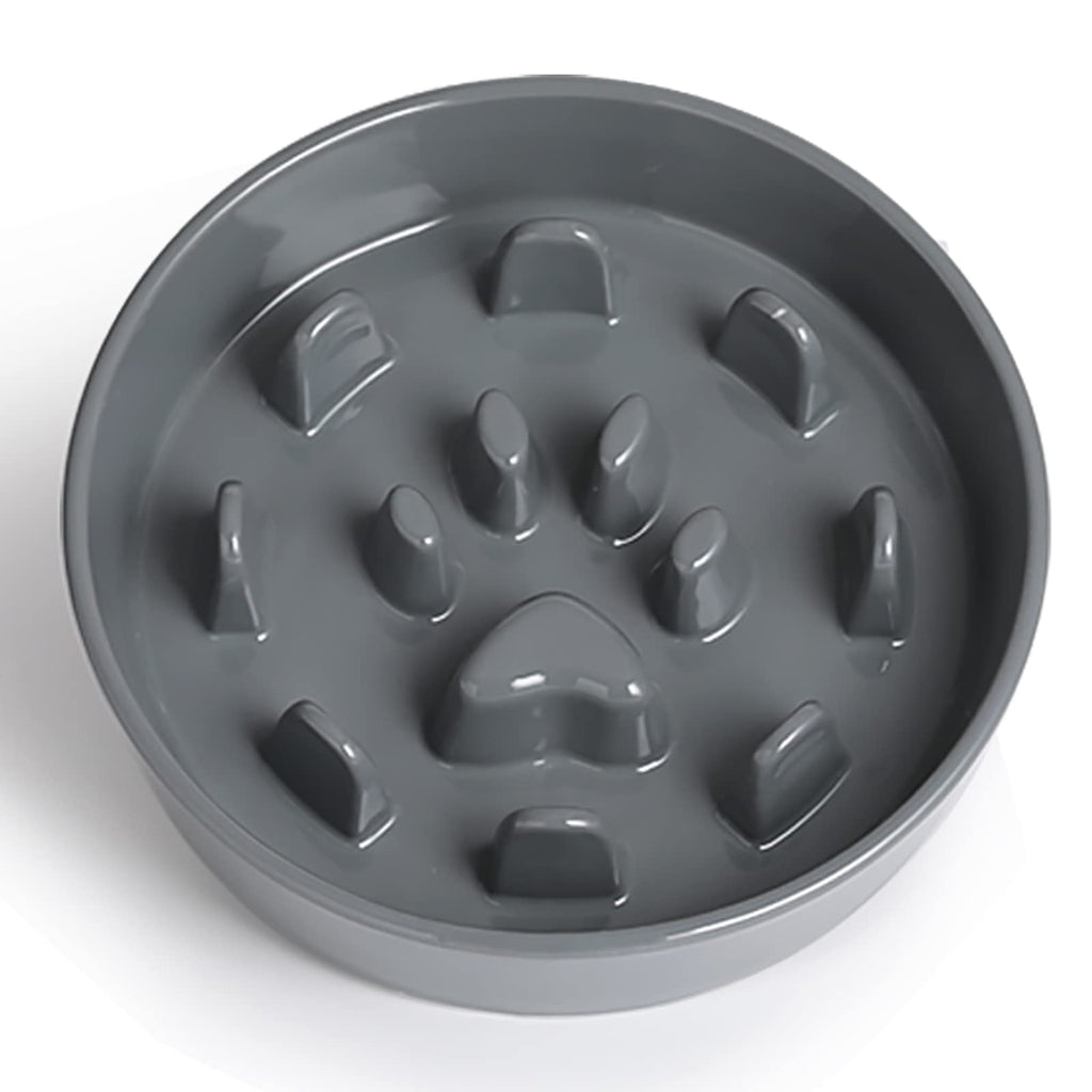 Ceramic Slow Feeder Dog Bowl