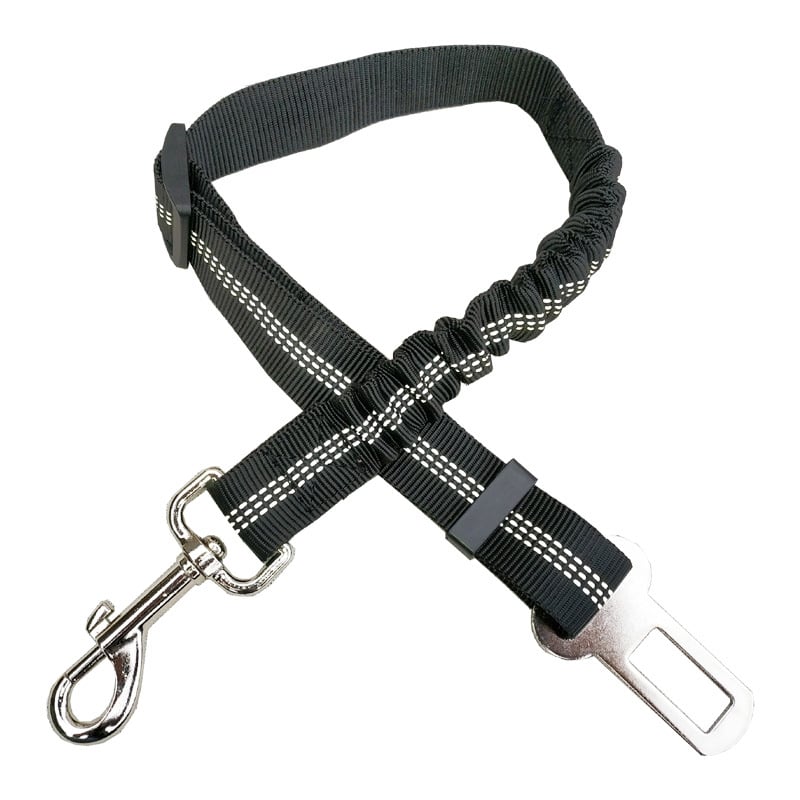 Dog Car Seat Belt