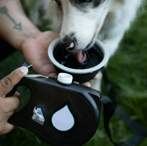 Dog Water Bottle Leash
